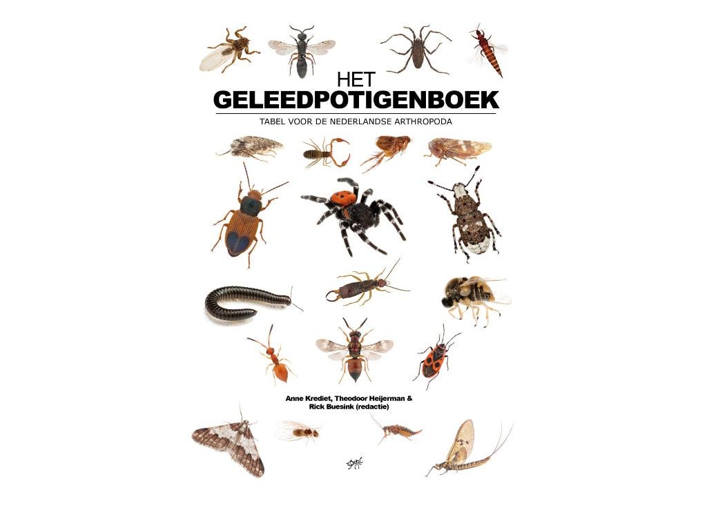 Het geleedpotigenboek - Nieuw mieren nederland, Ophalen of Verzenden, Alpha, Nieuw, Niet van toepassing
