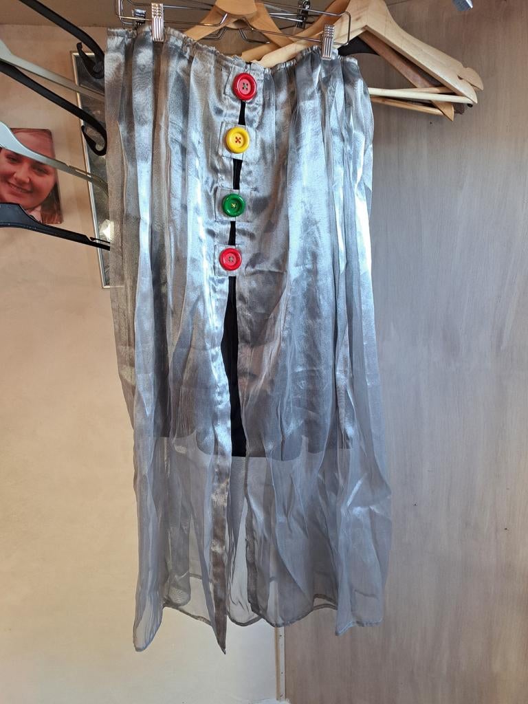 Voile rok, Kleding | Dames, Carnavalskleding en Feestkleding, Ophalen of Verzenden, Zo goed als nieuw, Carnaval