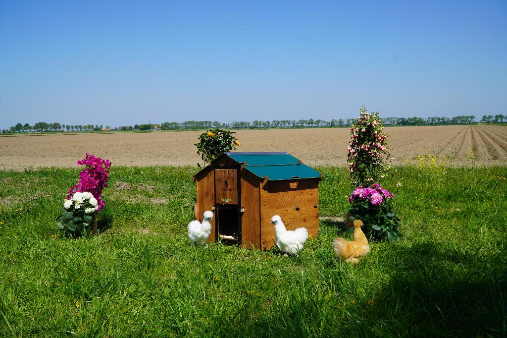 Trespa Kippenhok Cucciolotta | Mignon