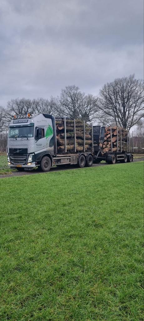 Stamhout/rondhout/haardhout - Doe-het-zelver & Professionals, 6 m³ of meer, Ophalen of Verzenden, Overige houtsoorten, Stammen