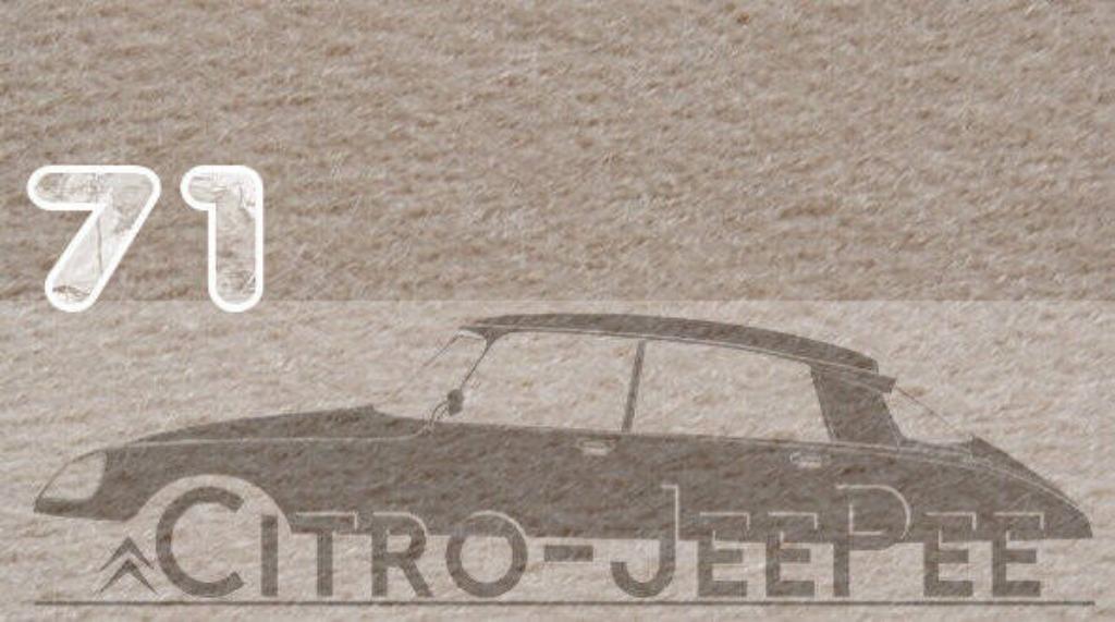 Hemelbekleding Citroen ID DS Non-Pallas  ** Aanbieding **, Citro-JeePee, Citroën, Kerkstraat 20, Nieuw