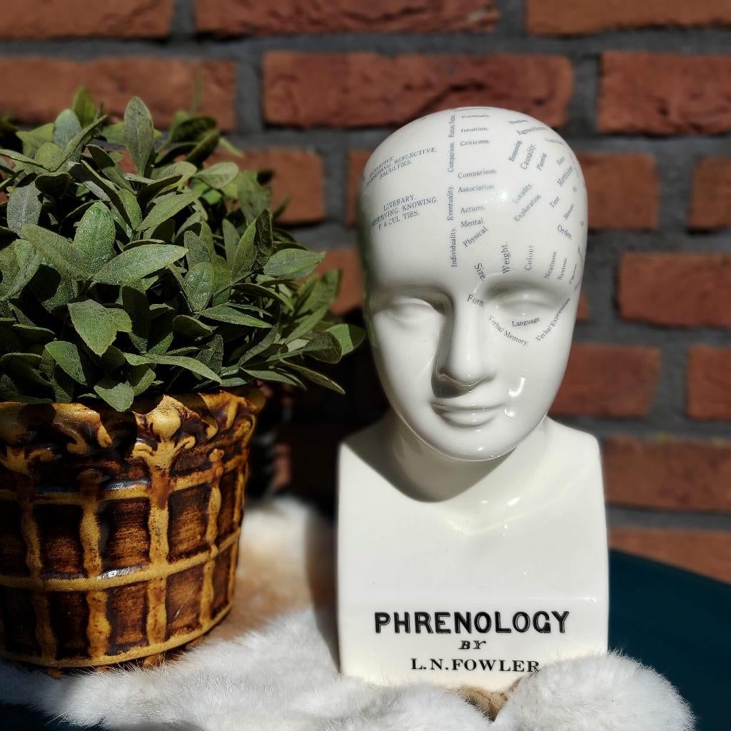Vintage Phrenology buste/hoofd 'by L.N. Fowler' in keramiek, Ophalen of Verzenden