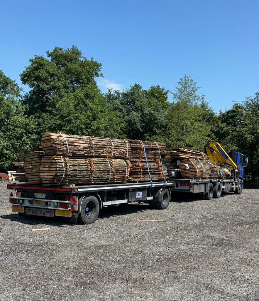 Ovengedroogde schaaldelen 50mm, Ophalen, Nieuw, Plank, Minder dan 200 cm