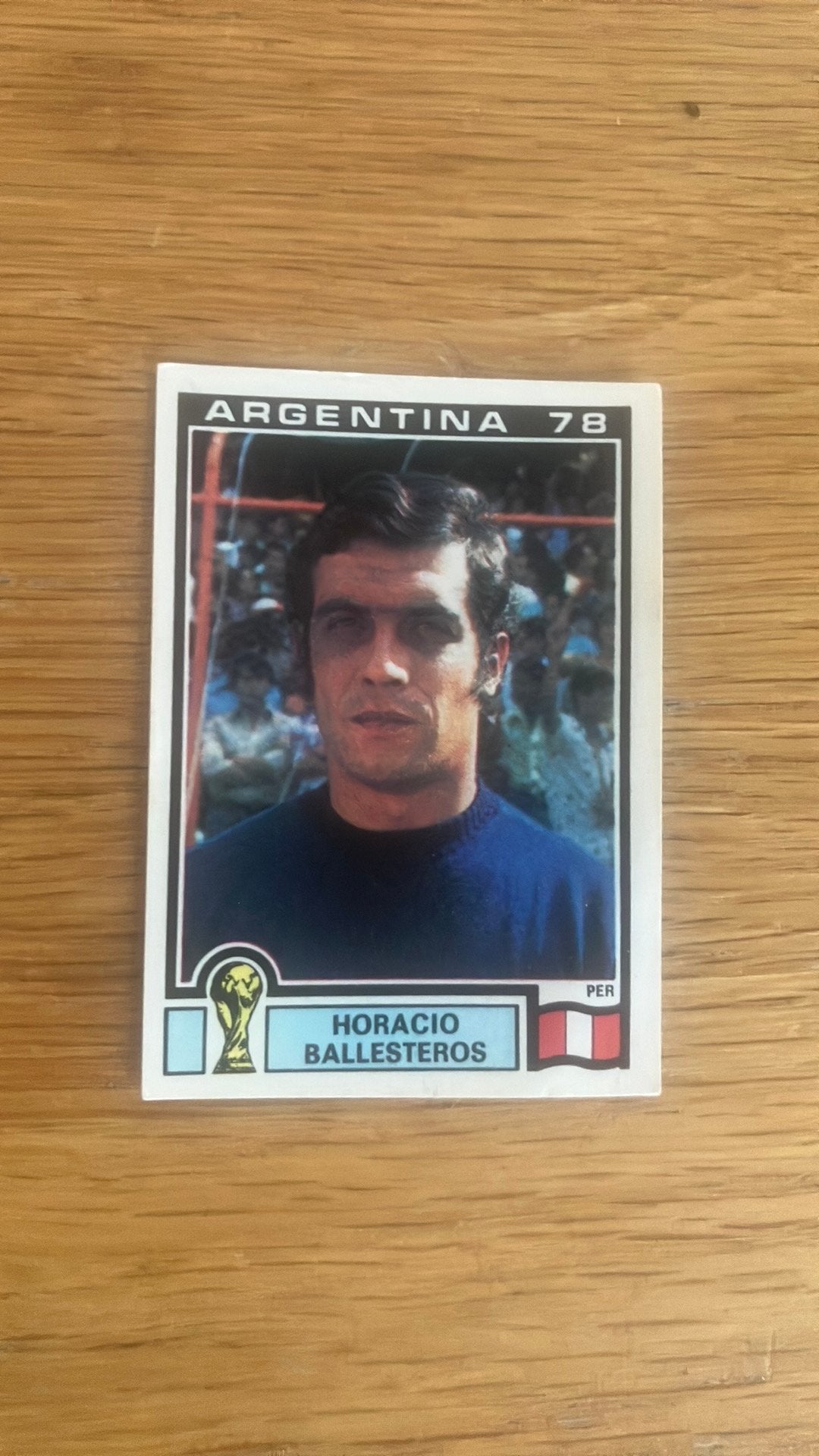 Panini Argentina ‘78, Ophalen of Verzenden, Zo goed als nieuw, Sticker