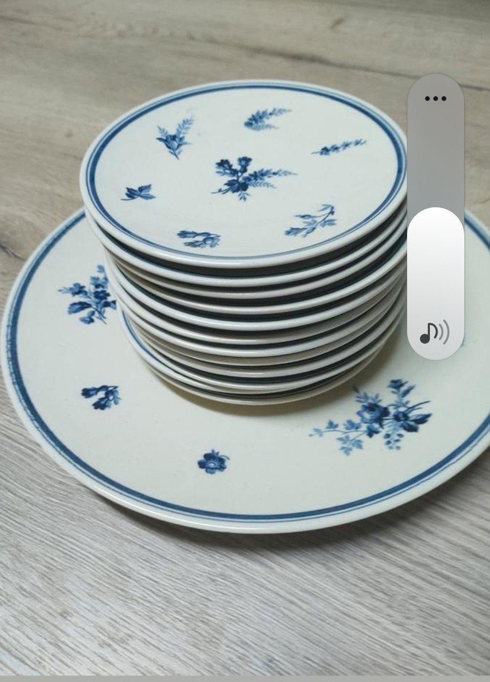 Gebakset Riva van Petrus Regout, Ophalen of Verzenden