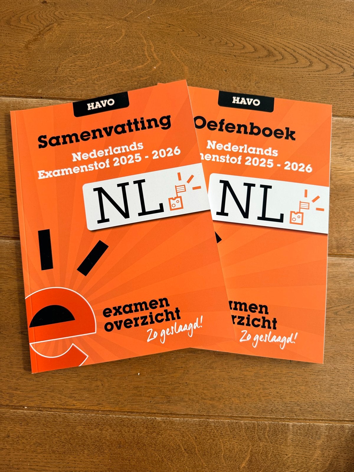 Examenoverzicht HAVO 2025/2026 Samenvatting & Oefenboeken., Boeken, Schoolboeken, Ophalen of Verzenden, Zo goed als nieuw, HAVO