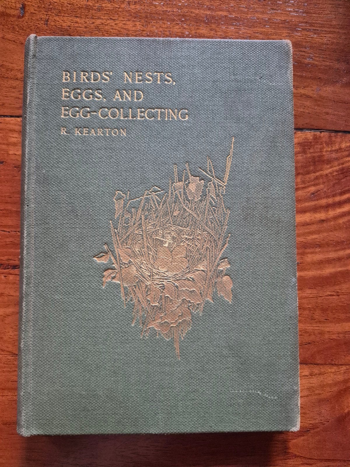 Birds' Nests, Eggs and Egg-Collecting - R. Kearton (1903), Verzenden, Gelezen, Vogels, R. Kearton