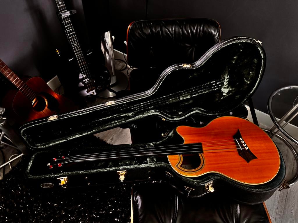 Alien rockbass warwick fretless semi akoestische bas, Muziek en Instrumenten, Ophalen, Gebruikt, Semi-akoestisch, Fretloos