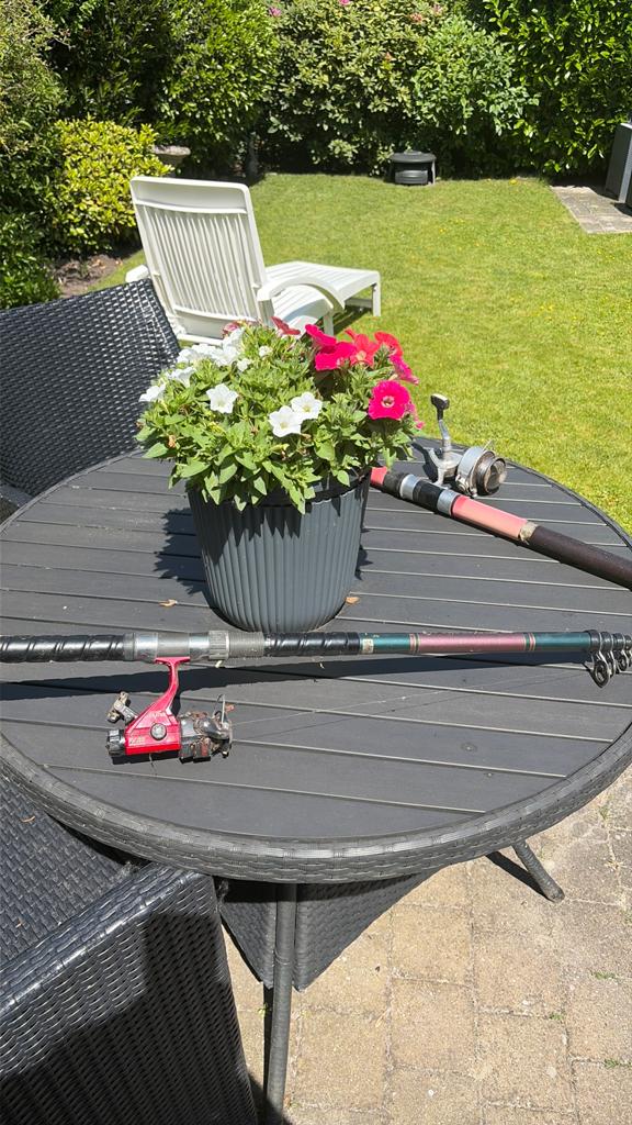 Werphengel Silstar ET3100-465, Watersport en Boten, Hengelsport | Algemeen, Ophalen, Gebruikt, Werphengel