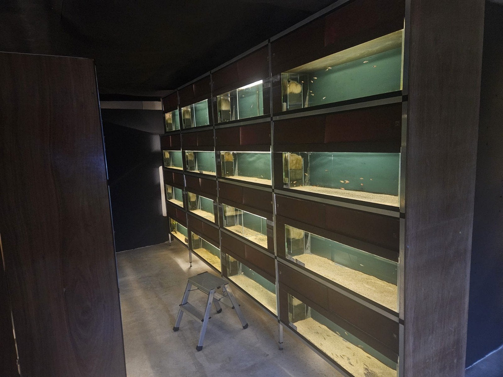 Complete winkelopstelling aquariumstellingen, Dieren en Toebehoren, Ophalen, Gebruikt, Overige typen, Overige merken