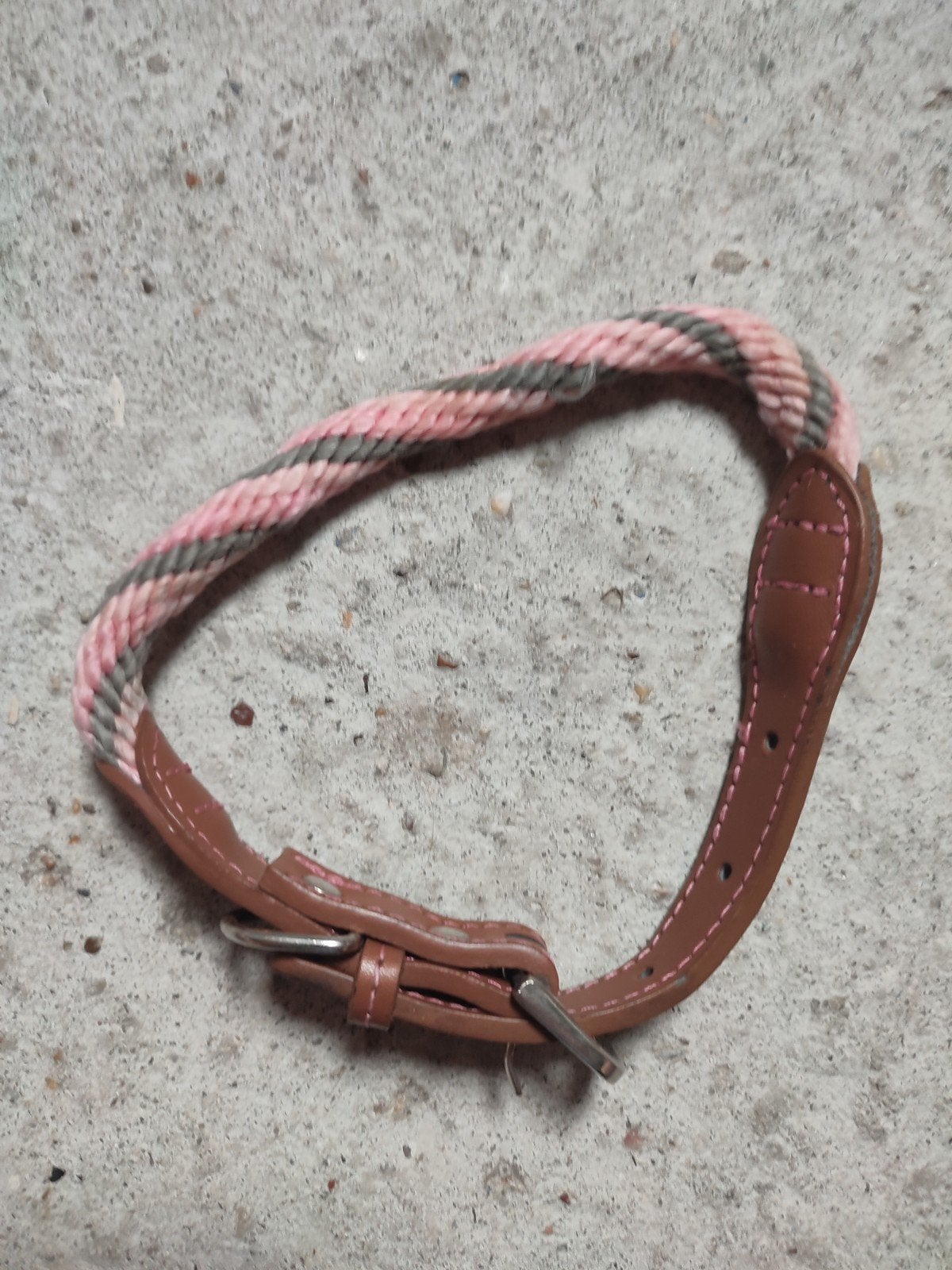Honden halsband lief, Ophalen of Verzenden, Gebruikt