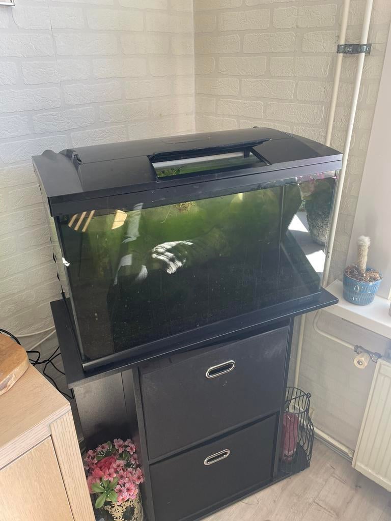 Aquarium superfish 100 met meubel en toebehoren., Dieren en Toebehoren, Vissen | Aquaria en Toebehoren, Ophalen, Verlichting of Verwarming