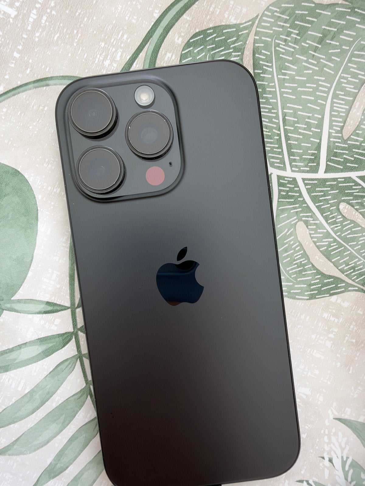 Foto 4 van iPhone 16 Pro 256GB - Batterij 80%