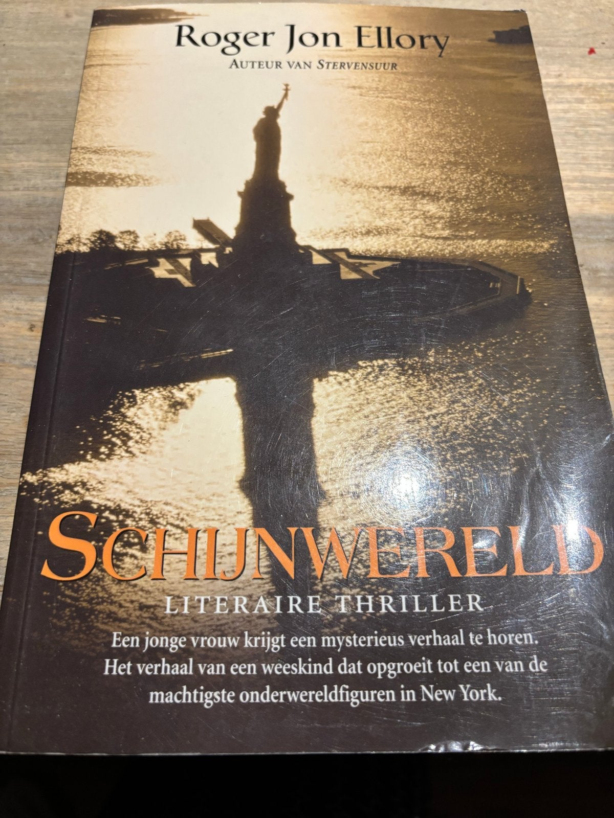 Schijnwereld - Roger Jon Ellory, Boeken, Ophalen of Verzenden, Zo goed als nieuw, Amerika