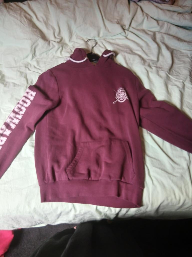 Harry Potter Hogwarts Hoodie - Maat 38, Kleding | Dames, Overige kleuren, Harry Potter, Gedragen, Ophalen