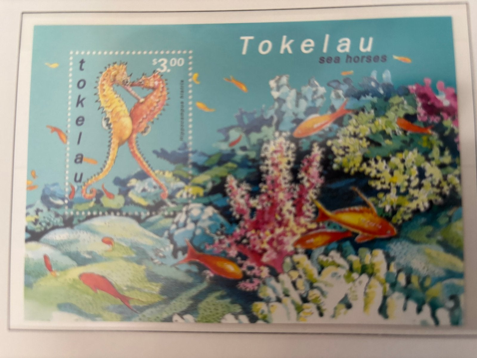 Tokelau-Eilanden 2001, Postzegels en Munten, Ophalen of Verzenden, Postfris