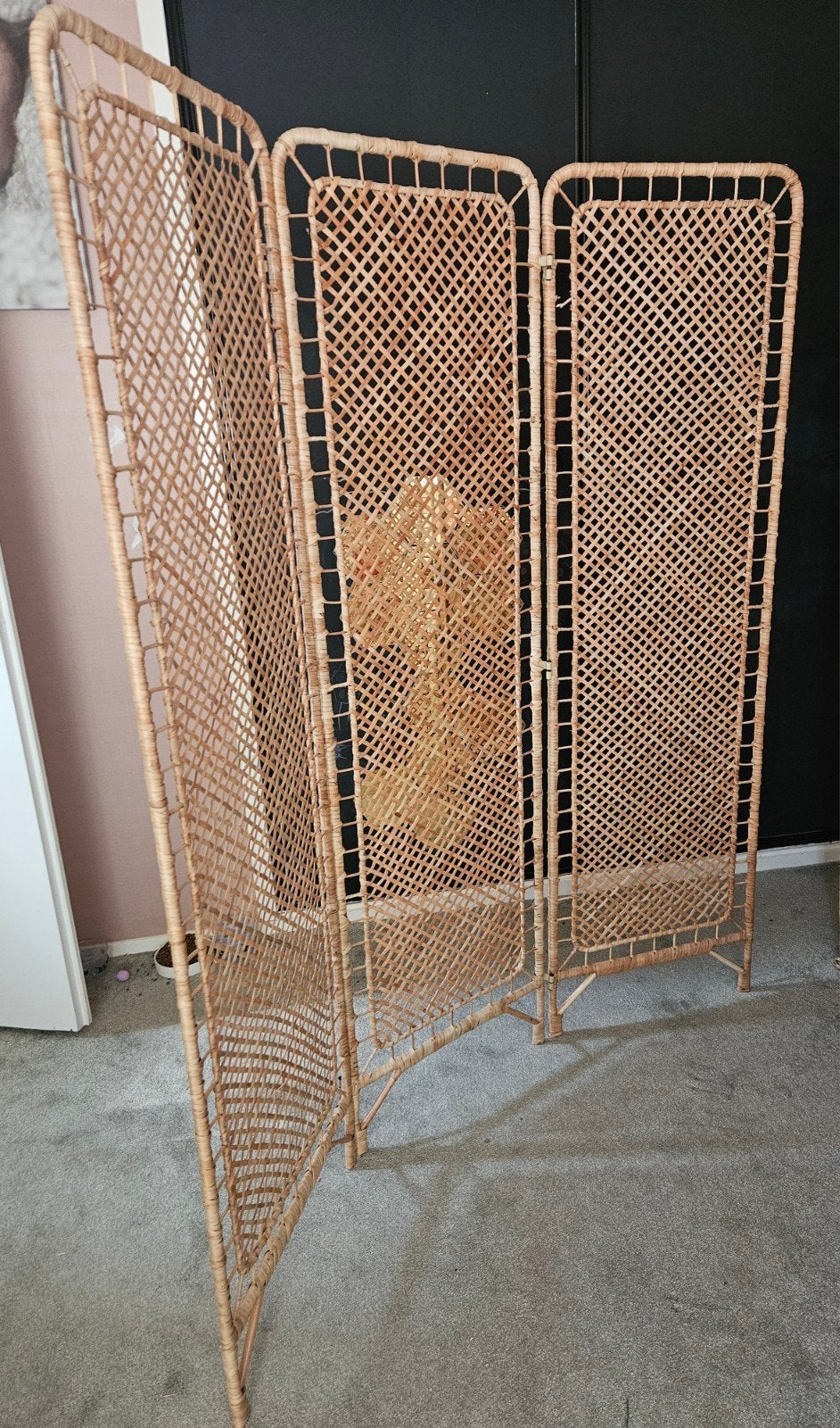 rotan kamerscherm, Ophalen, Zo goed als nieuw