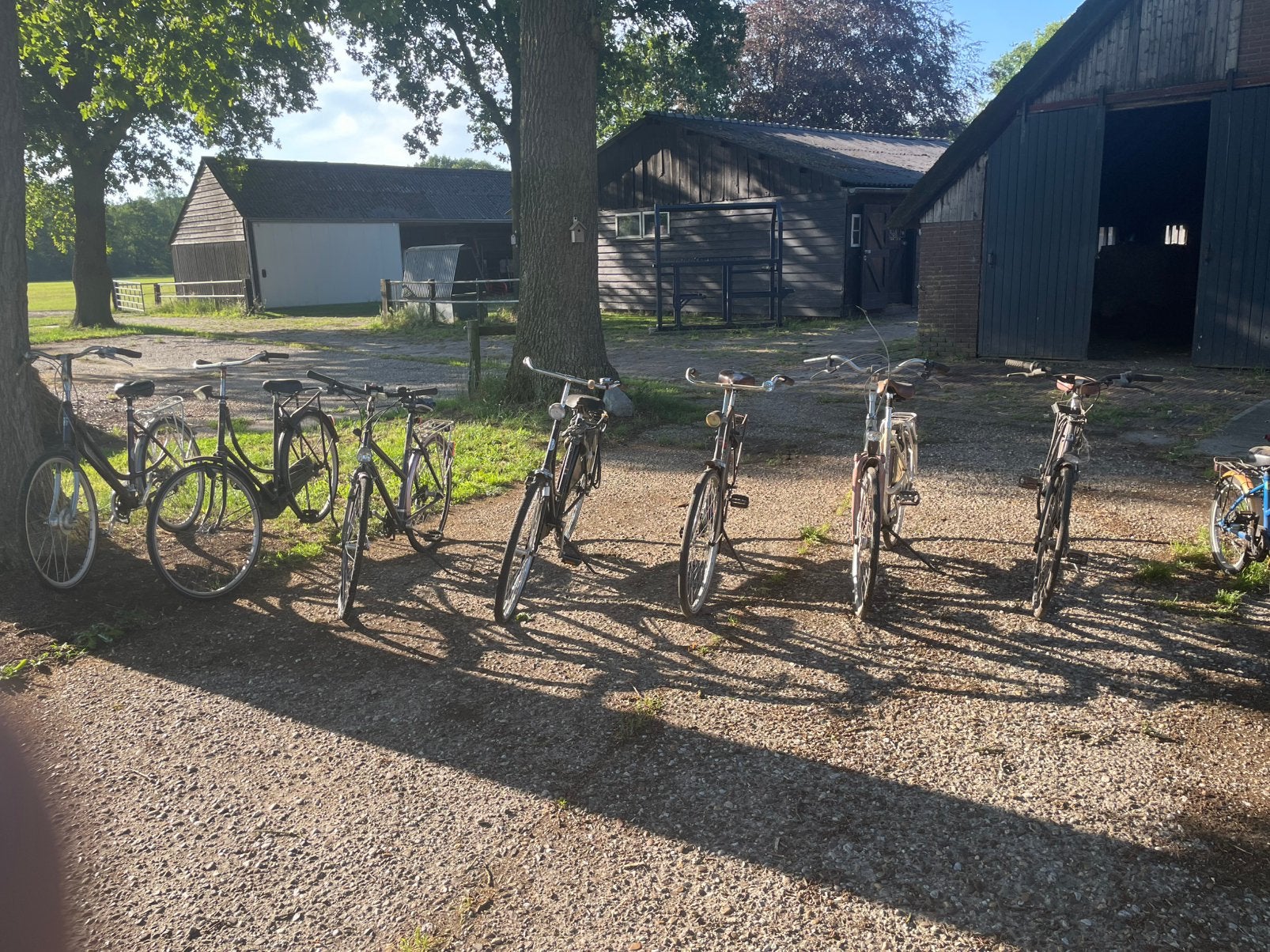 Partij fietsen, Fietsen en Brommers, Fietsen | Dames | Damesfietsen, Gebruikt, Overige merken, Versnellingen, Ophalen