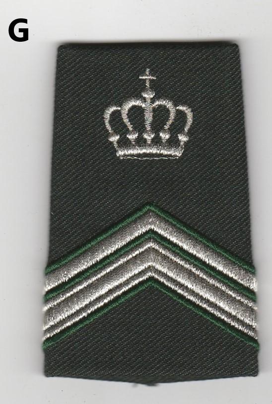 Losse rang epaulet Sergeant 1e klasse Instructeur DT2000, Verzenden, Landmacht, Nederland, Embleem of Badge