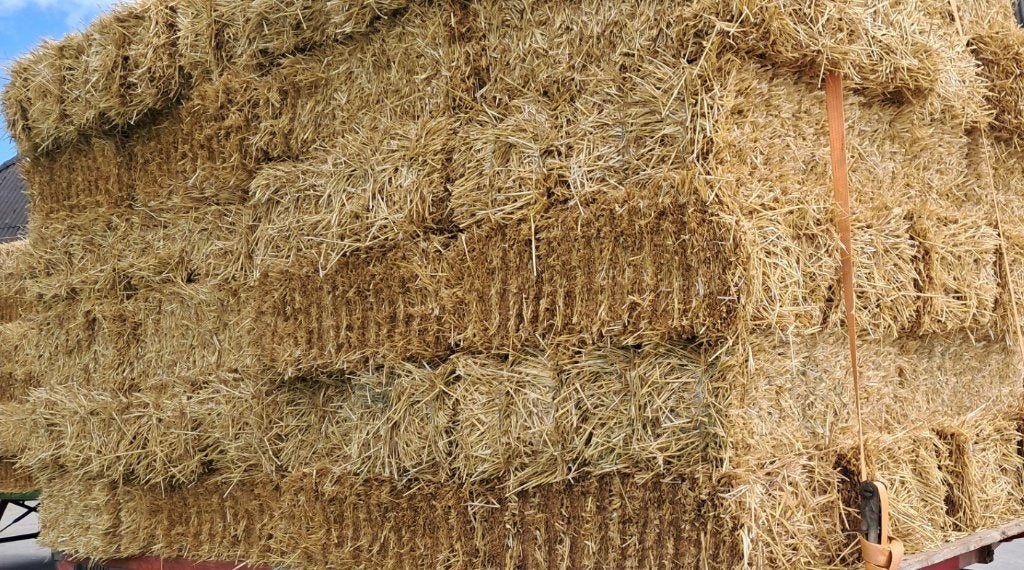 Tarwe stro in kleine pakken 2026., Dieren en Toebehoren, Ophalen of Verzenden, Vee