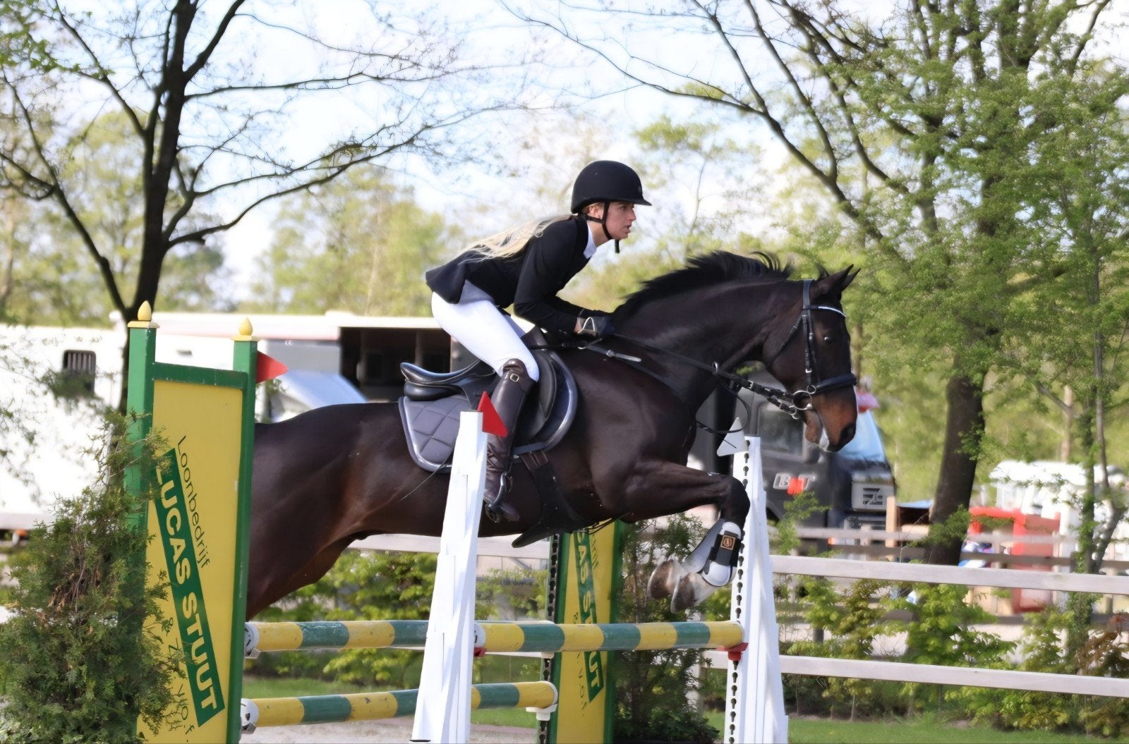 Bijrijd paard gezocht omgeving Roden en omstreken!!, Dieren en Toebehoren, Paarden en Pony's | Overige Paardenspullen, Ophalen of Verzenden