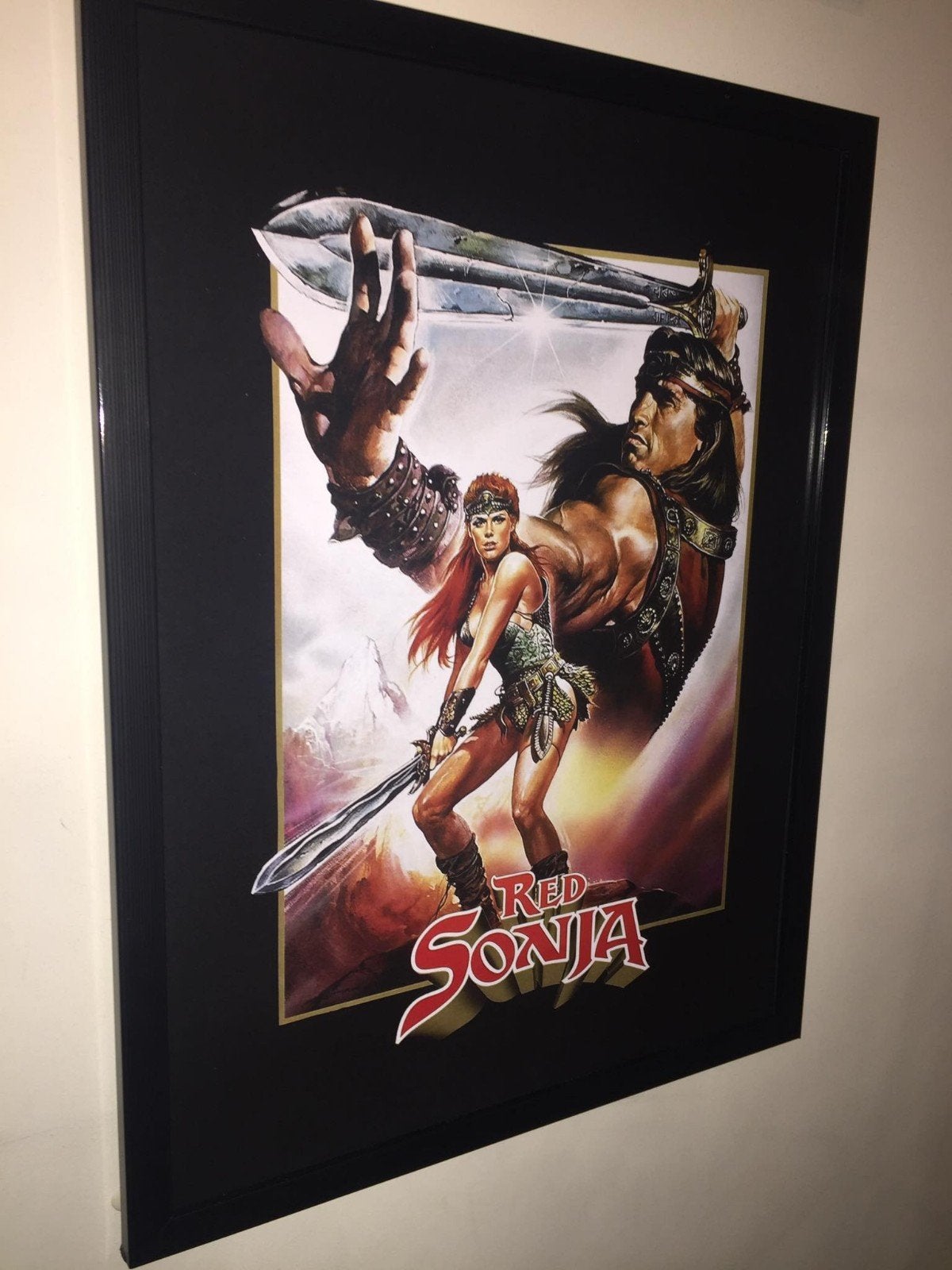 red sonja, Ophalen of Verzenden, Zo goed als nieuw, A1 t/m A3, Film en Tv