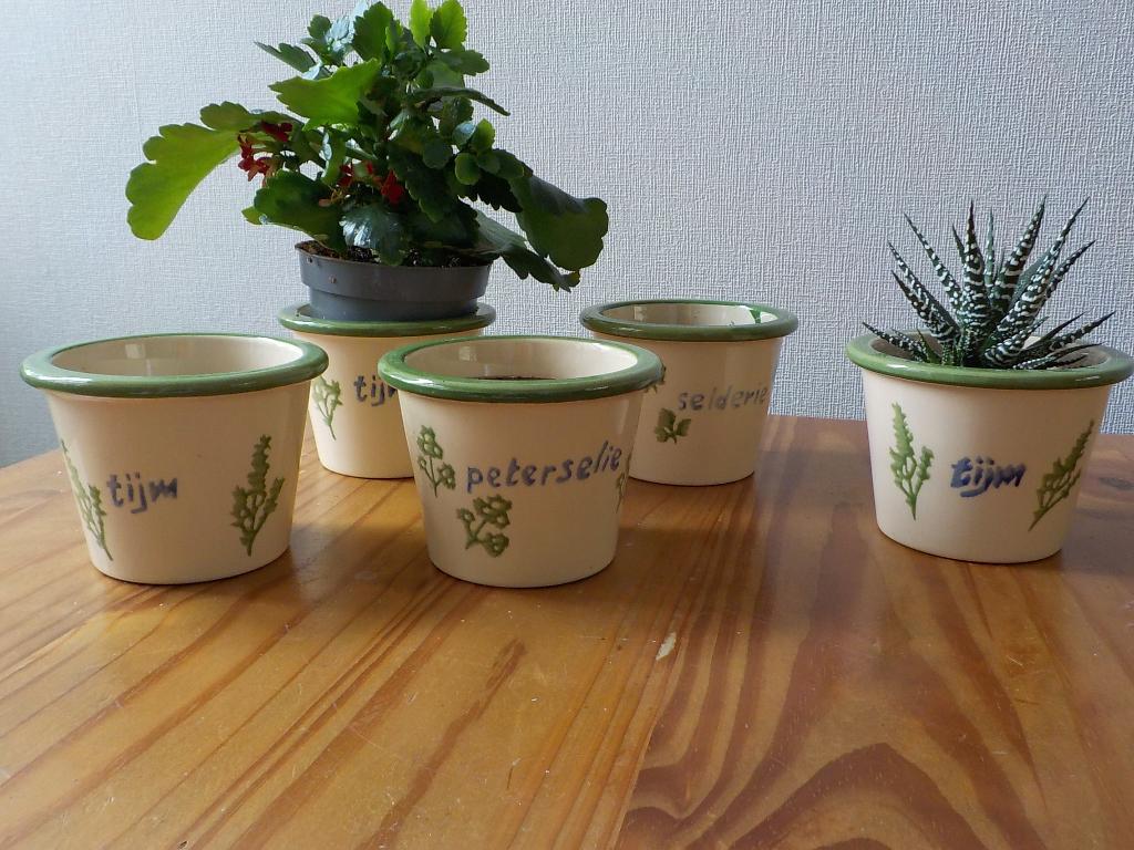 Vijf bloempotjes voor o.a. kruiden, Tuin en Terras, Rond, Binnen, Ophalen of Verzenden, Zo goed als nieuw