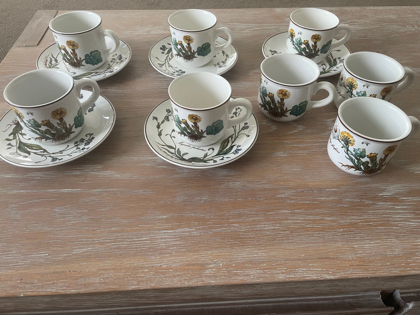 Villeroy & Boch Botanica: 5 kop en schotel, 3 losse kopjes, Gebruikt, Klassiek, Villeroy & Boch, Ophalen of Verzenden