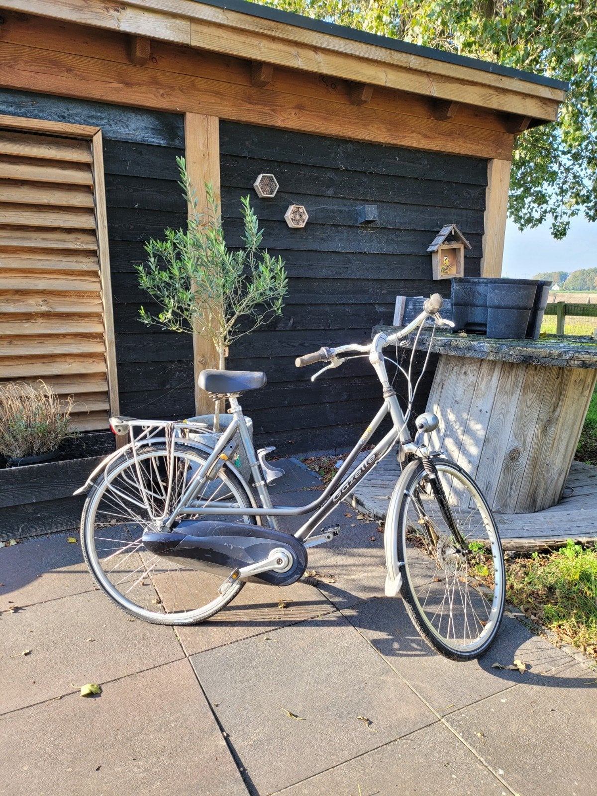 Gazelle Davos damesfiets opknapper, Fietsen en Brommers, Ophalen, Gazelle, 53 tot 56 cm, Gebruikt