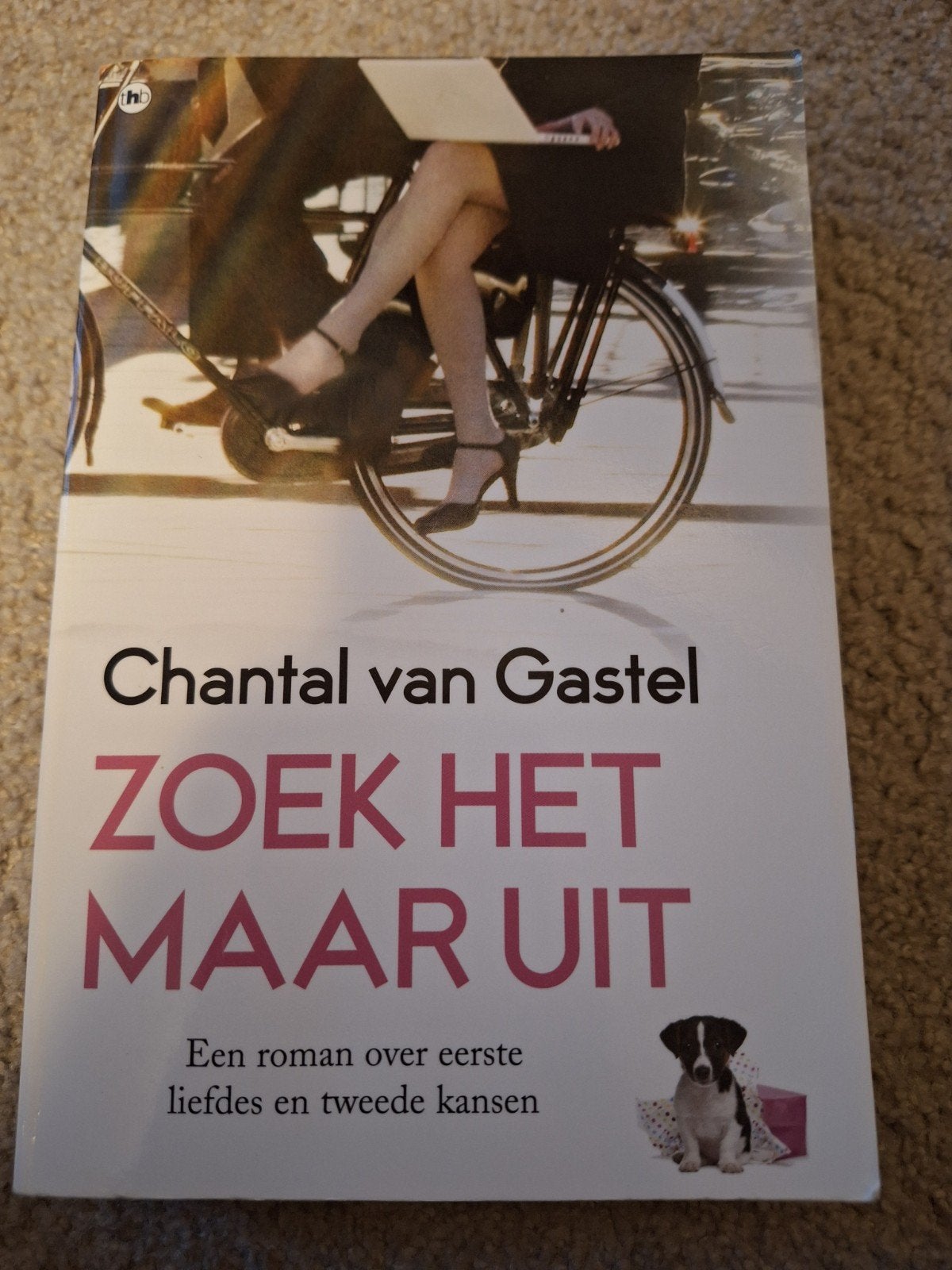 Zoek het maar uit - Chantal van Gastel (roman), Boeken, Ophalen of Verzenden, Zo goed als nieuw, Chantal van Gastel, Nederland