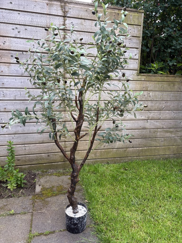 Twee verschillende kunst olijfbomen - zsm ophalen Enschede, Ophalen, Overige materialen, Zo goed als nieuw, Easyplants