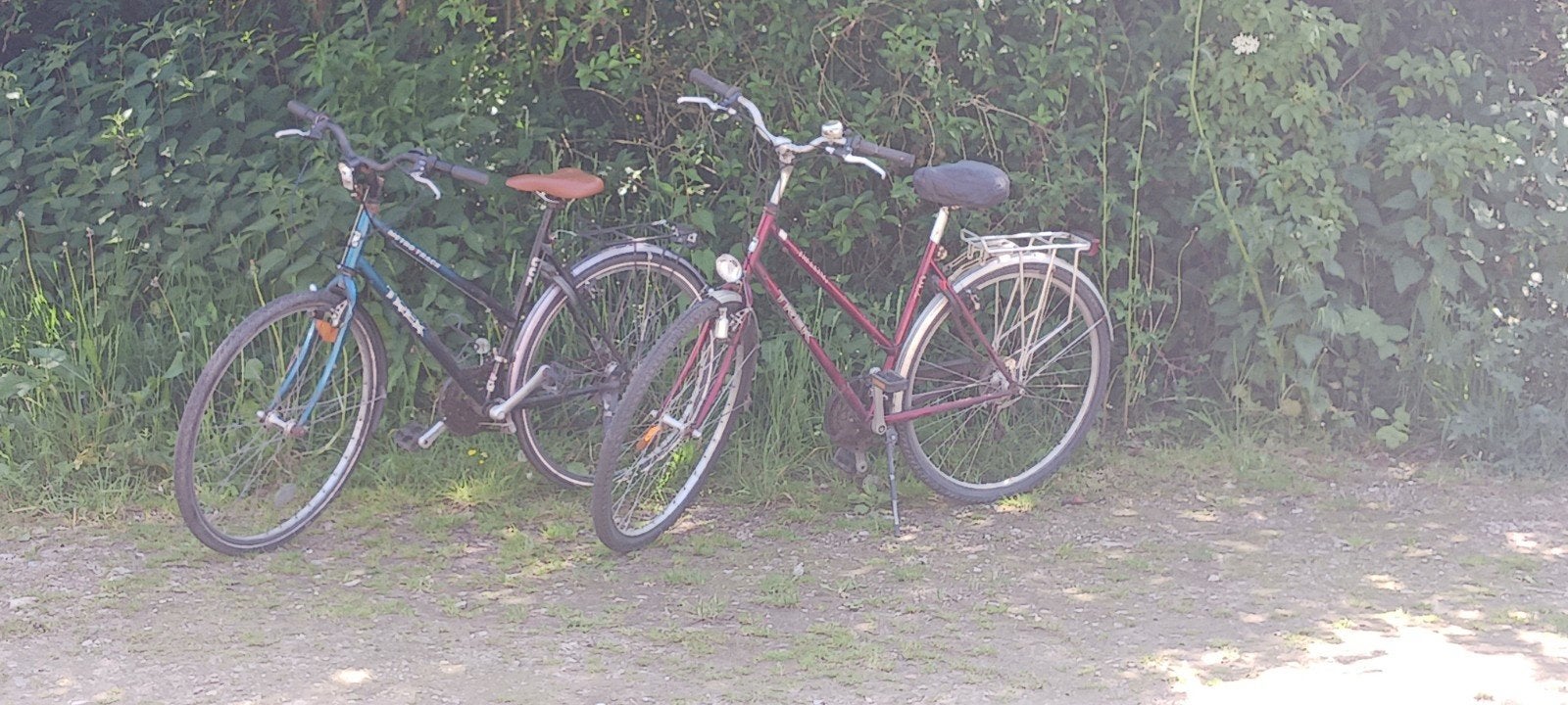2 Trek fietsen, Fietsen en Brommers, Fietsen | Dames | Damesfietsen, Velgrem, Versnellingen, Ophalen, Overige merken