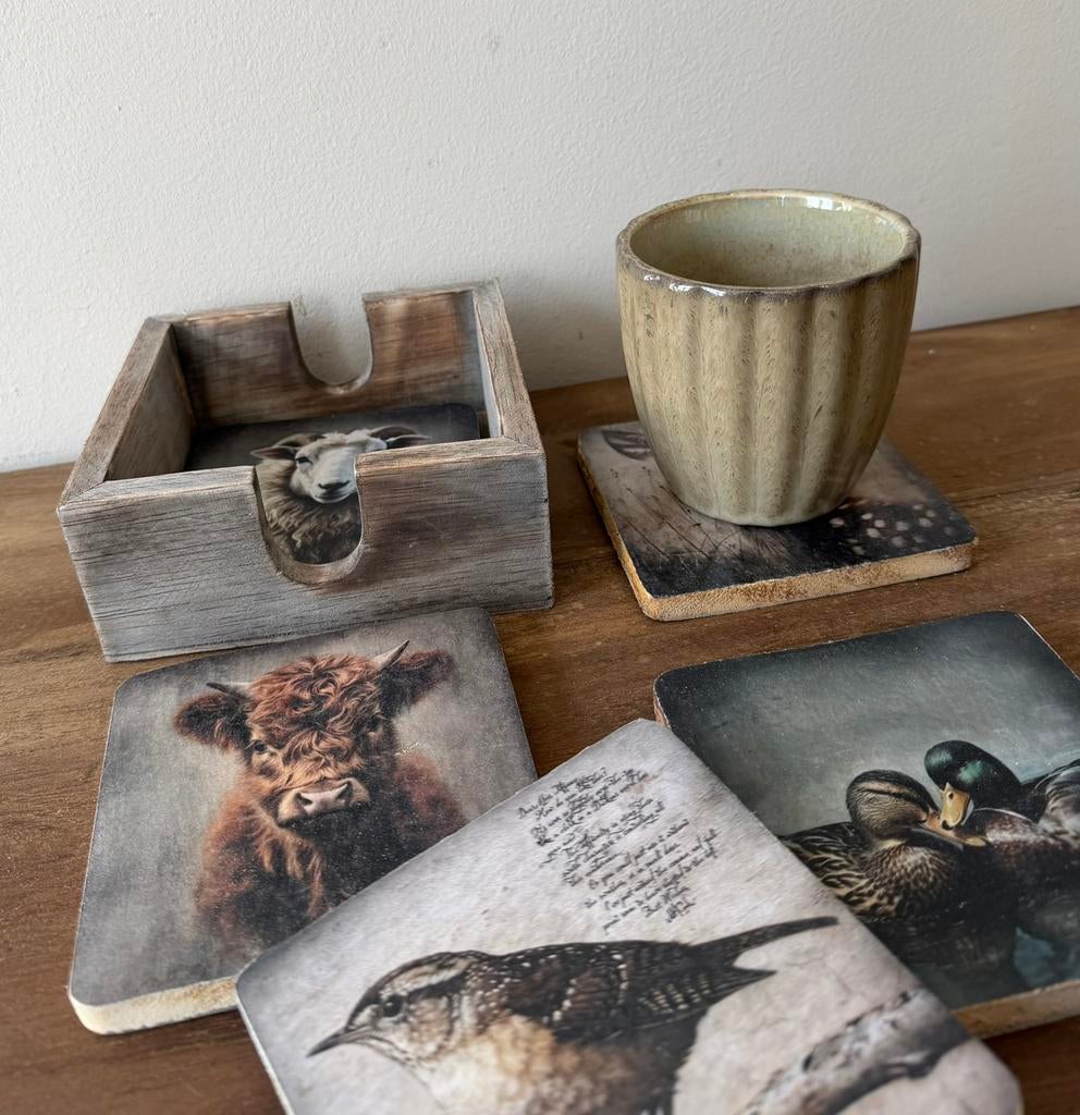 Houten onderzetters met print  in houder, -, -, Nieuw, Ophalen of Verzenden