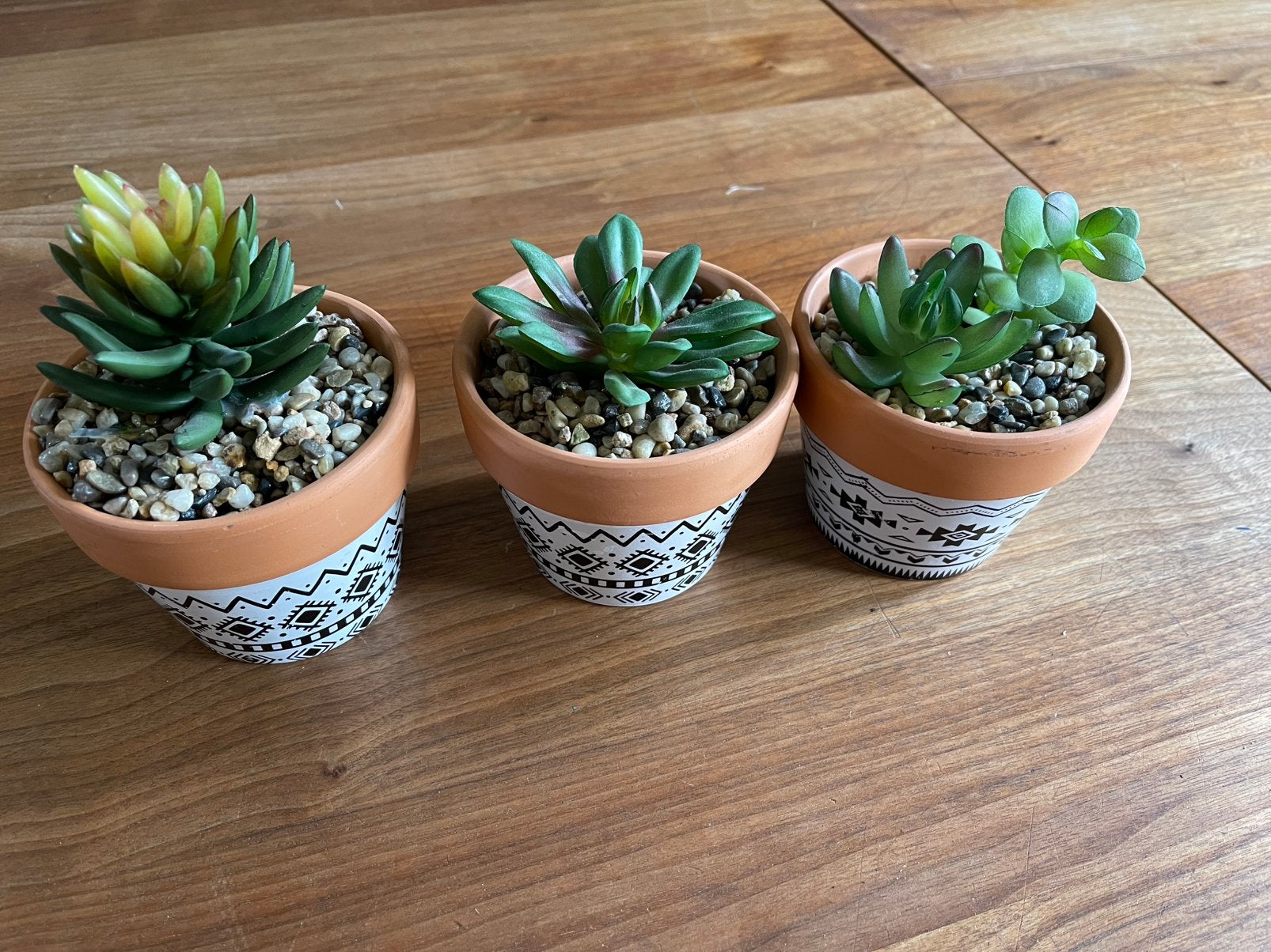 Set van 3 kunstplantjes in terra cotta potjes, Ophalen, Zo goed als nieuw, Kunstplant