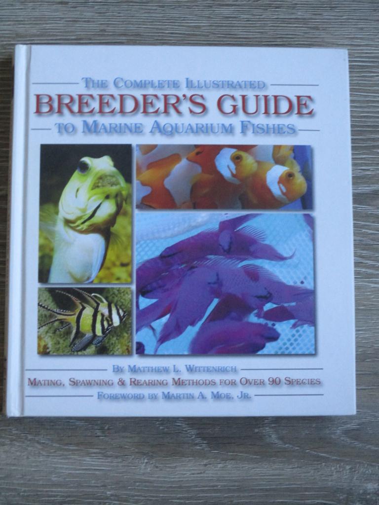 Breeder's guide to marine aquarium fishes - Matthew L. Wit, Ophalen of Verzenden, Gelezen, Vissen