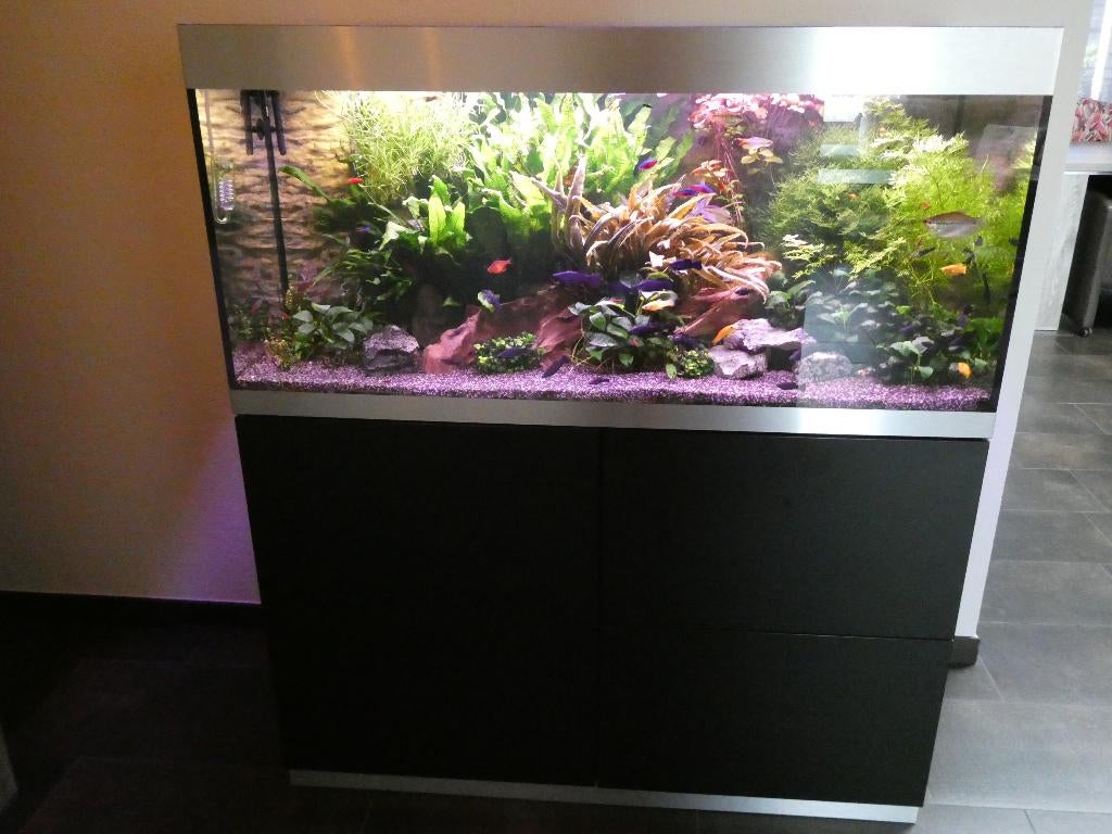 Complete aquarium Oase Highline 300 zwart, Dieren en Toebehoren, Oase, Ophalen of Verzenden, Inclusief vissen, Gevuld zoetwateraquarium