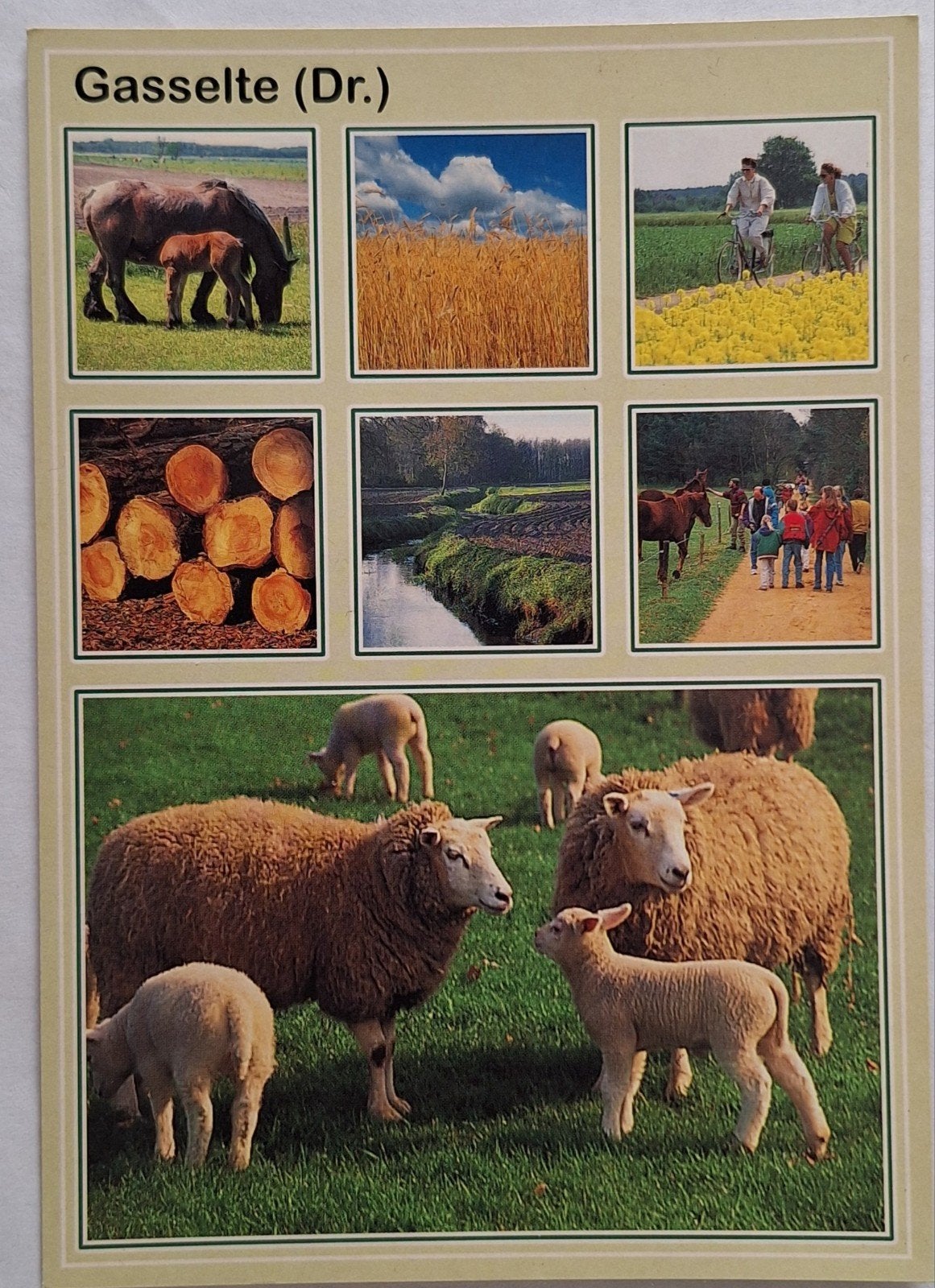 Ansichtkaart Gasselter (Dr.) - Diverse afbeeldingen, Ophalen of Verzenden