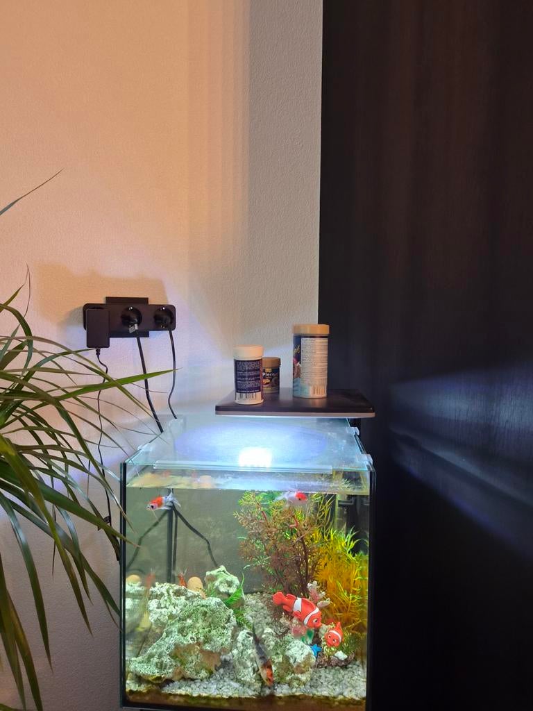 Aqarium met toebehoren, Ophalen of Verzenden, Gevuld zoetwateraquarium