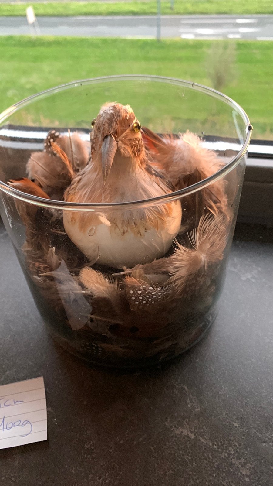 Pot met veertjes en vogeltje erin, Ophalen, Zo goed als nieuw, Rechthoekig, Riet