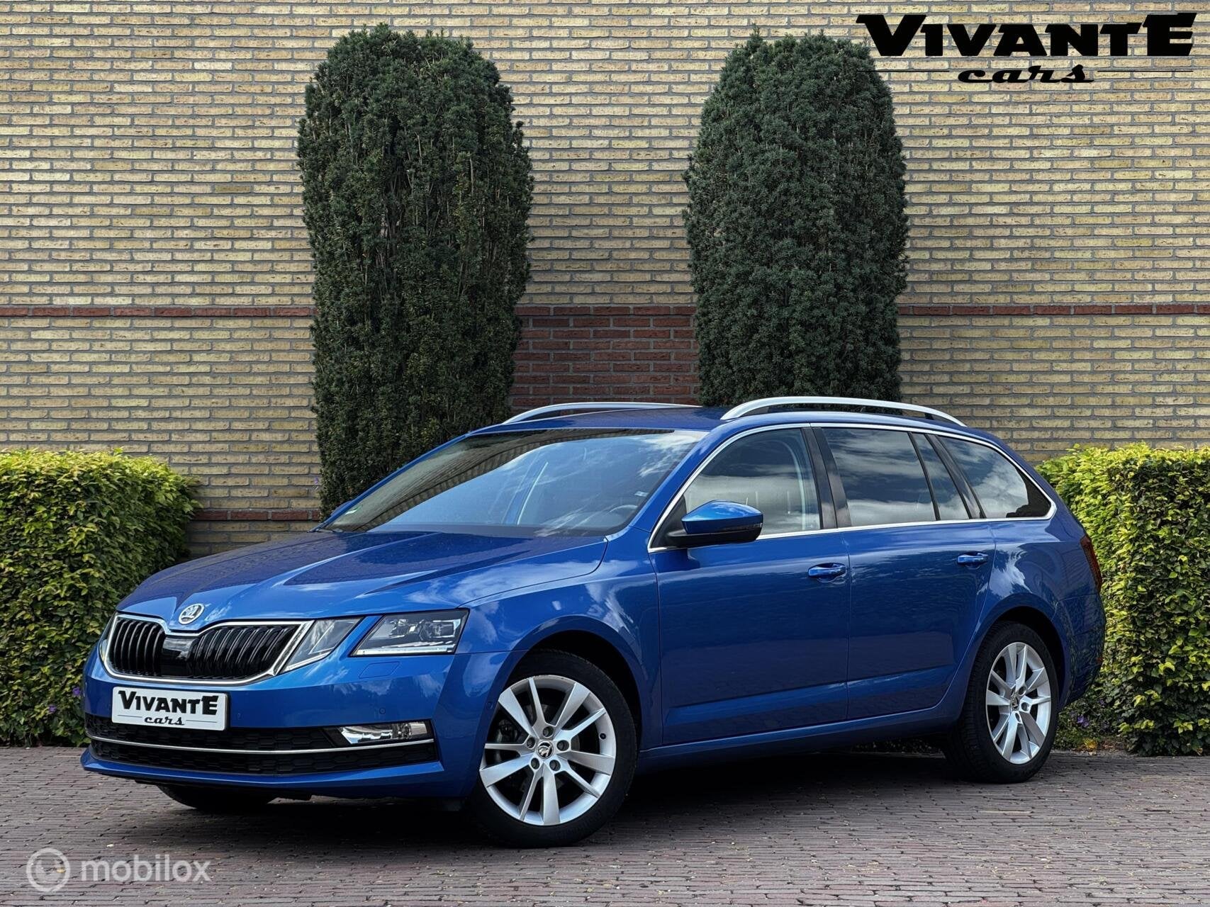 Skoda Octavia Combi 1.0 TSI Greentech Style Business Carplay, Euro 6, Met garantie (alle), Blauw, 116 pk