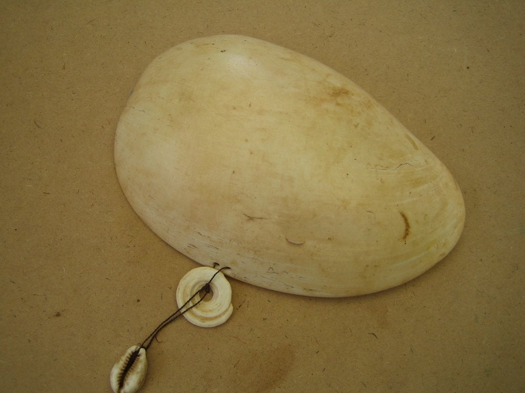 Bailer met conus en kauri, Abelam, Papua Nieuw Guinea, Ophalen of Verzenden