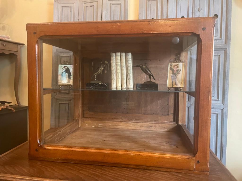 Toonbank Vitrine Vitrinekast Verzamelkast Winkelkast Frans, Ophalen