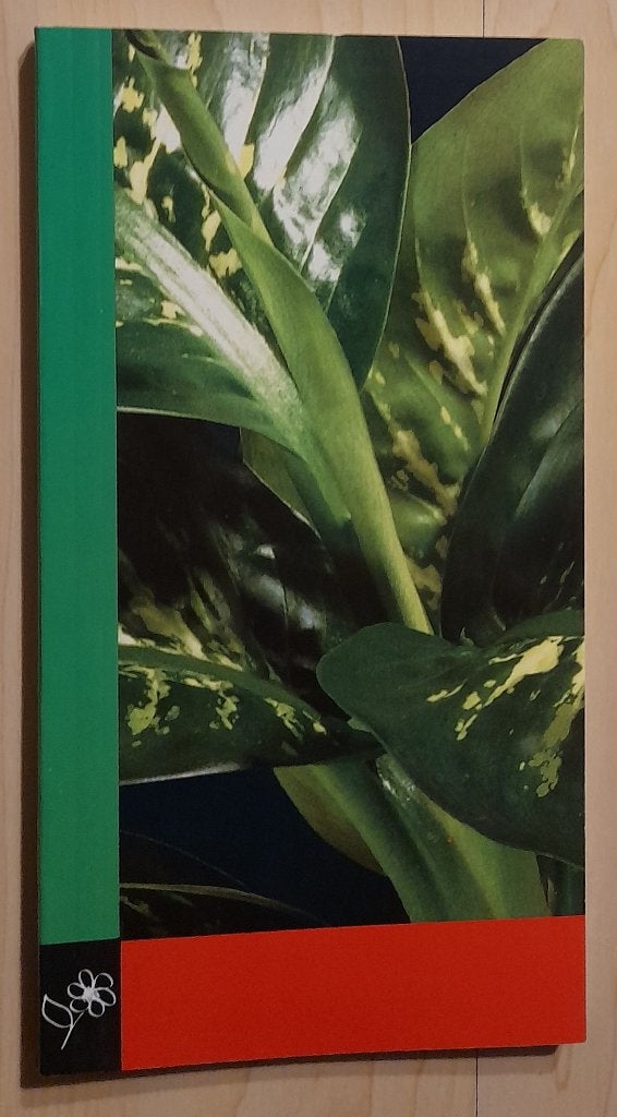 BOEK POTPLANTEN, Ophalen of Verzenden, Zo goed als nieuw, Interieur en Design