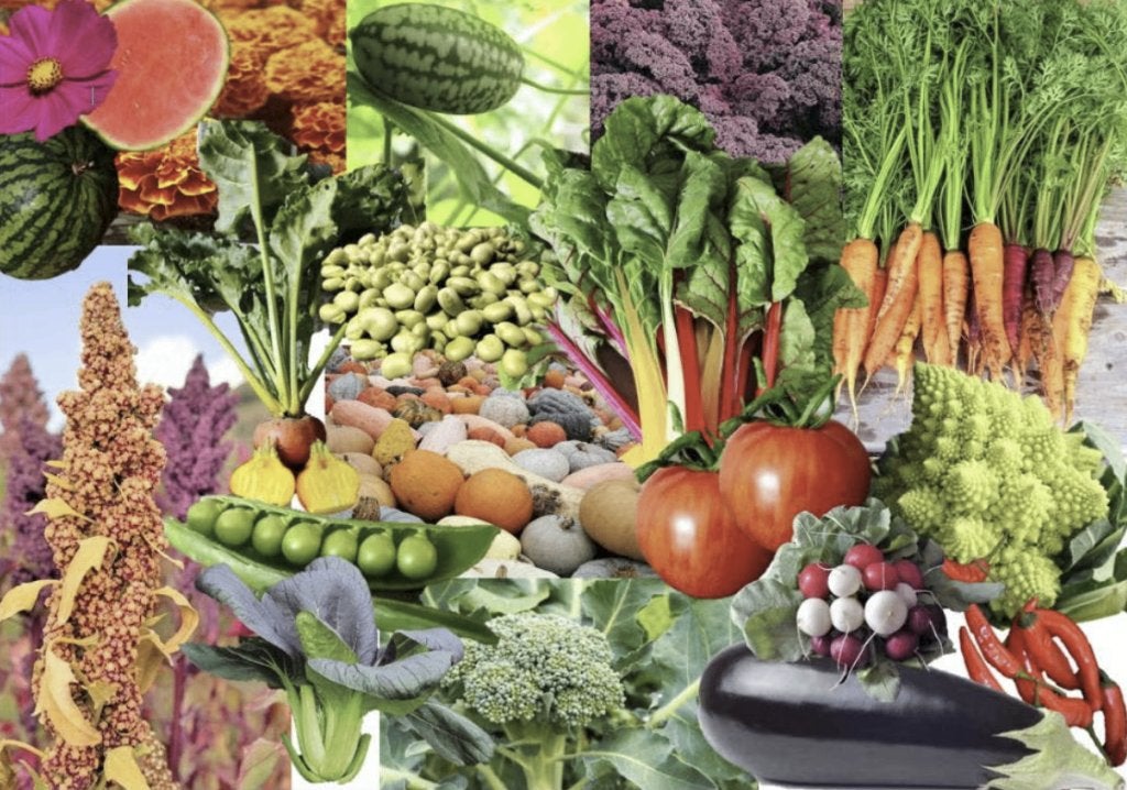 Moestuin zaden, groenten bloemen en kruiden, Verzenden, Zaad