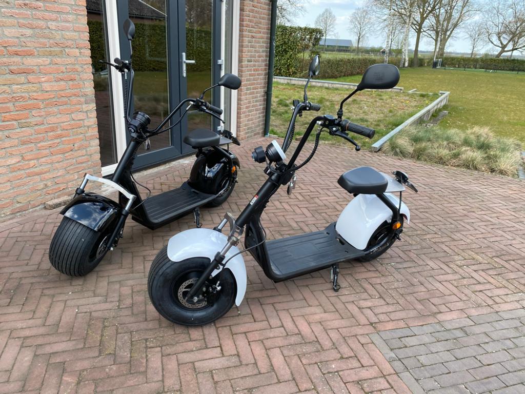 2 electrische rubriders Echopper, Fully, Ophalen of Verzenden, Gebruikt, Overige merken