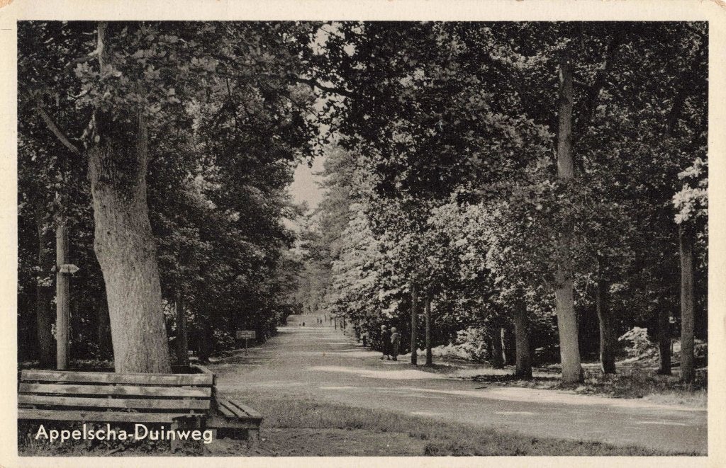 Appelscha Duinweg L3002, Ophalen, 1940 tot 1960, Gelopen, Friesland