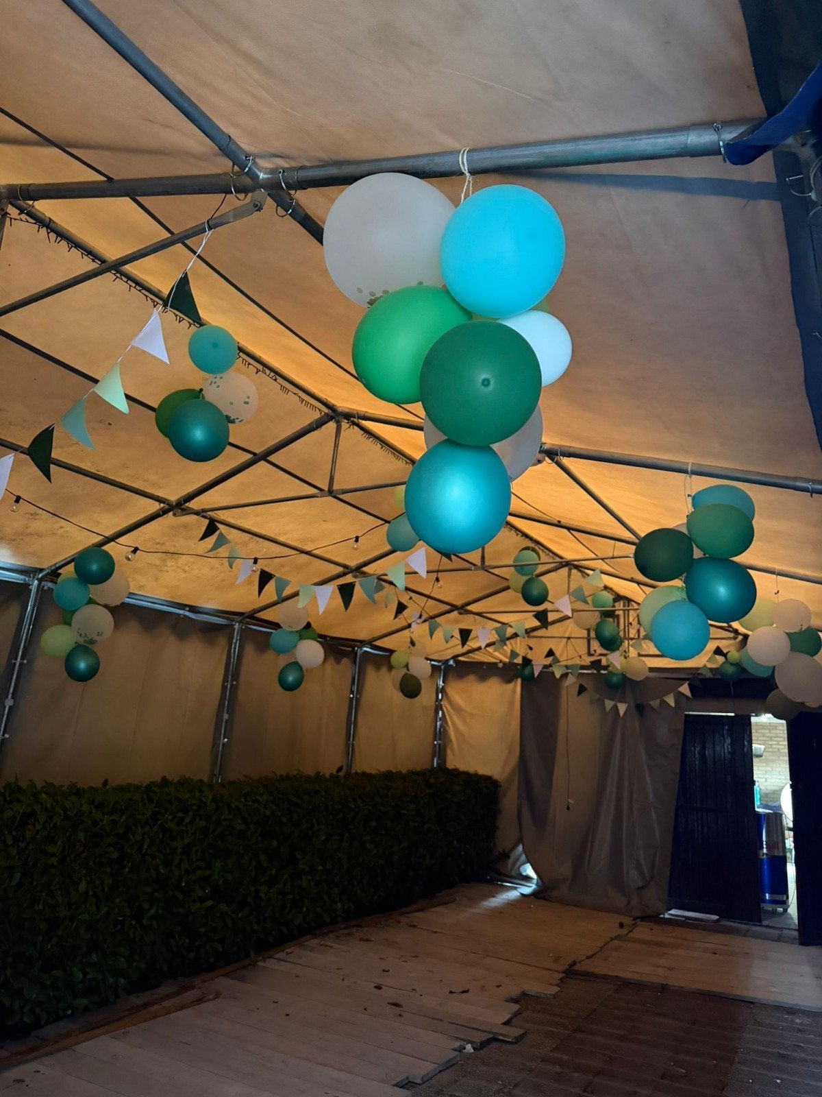 te huur dik pvc partytent 5x10, Ophalen, Overige