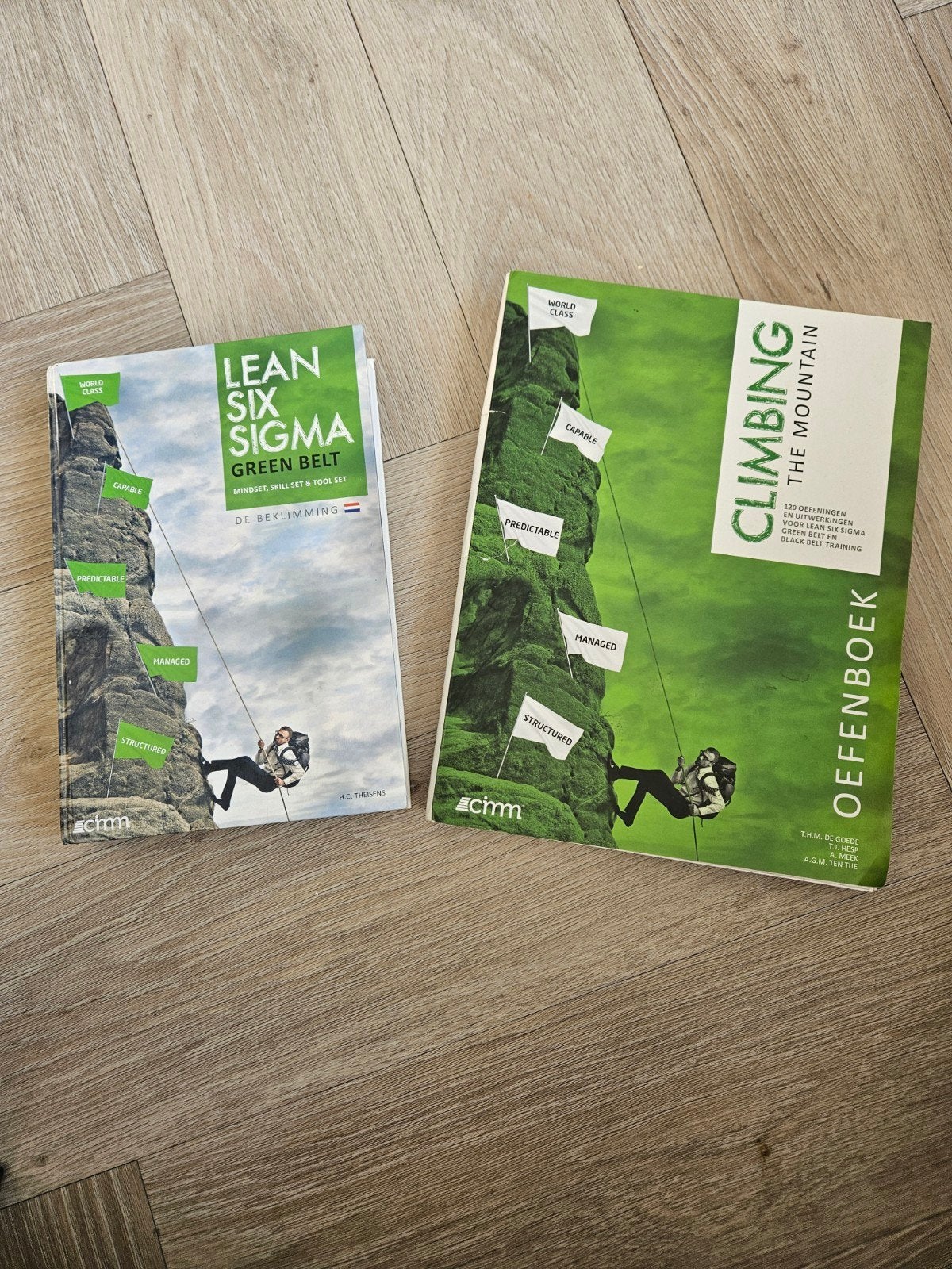 Lean Six Sigma Green Belt Boek + Oefenboek, Ophalen of Verzenden, Gamma, Zo goed als nieuw, HBO