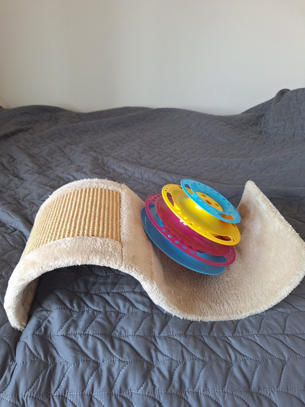 katten accesiores, Ophalen of Verzenden