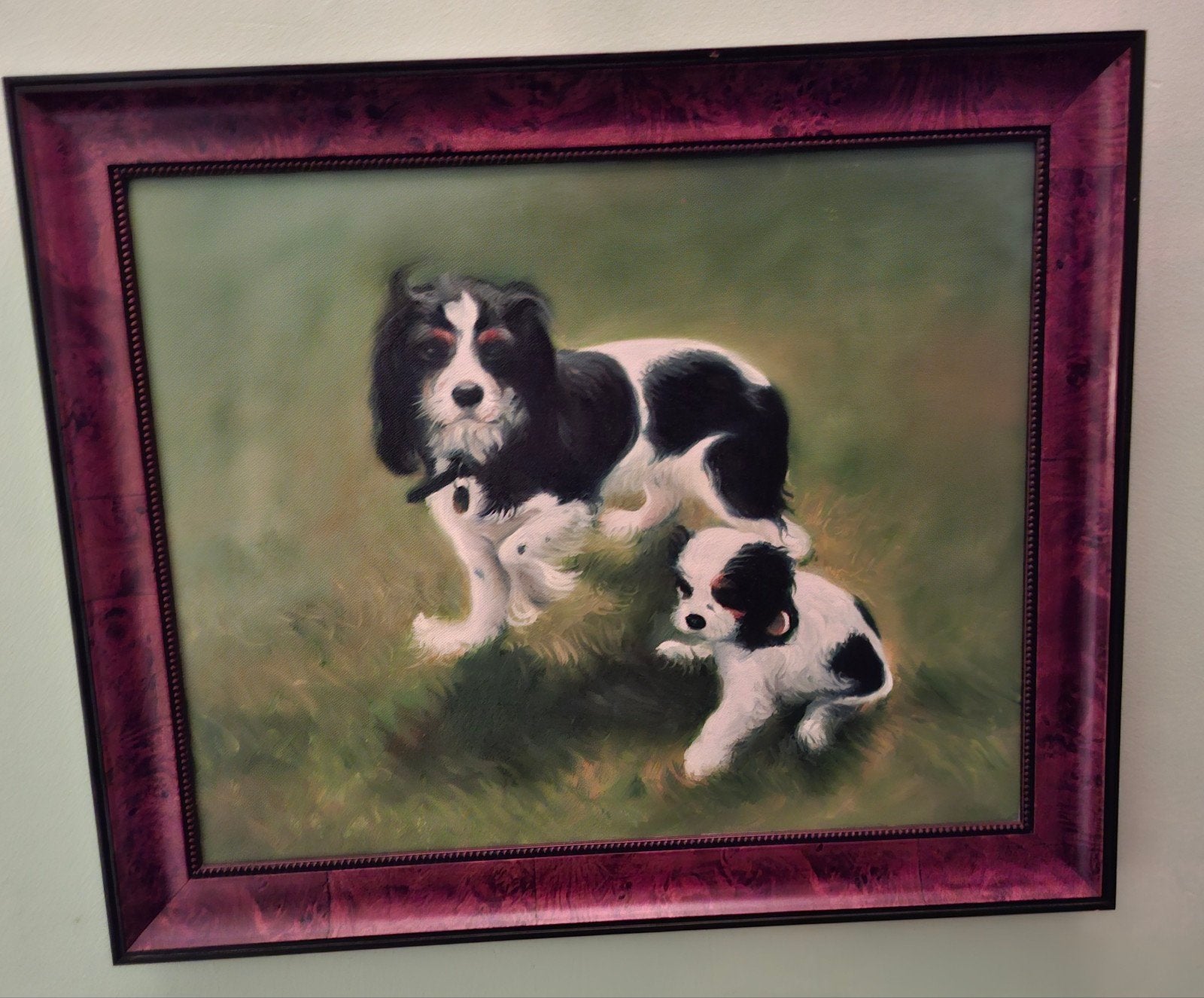 Prachtig olieverfschilderij op linnen van een Cavalier King, Ophalen of Verzenden